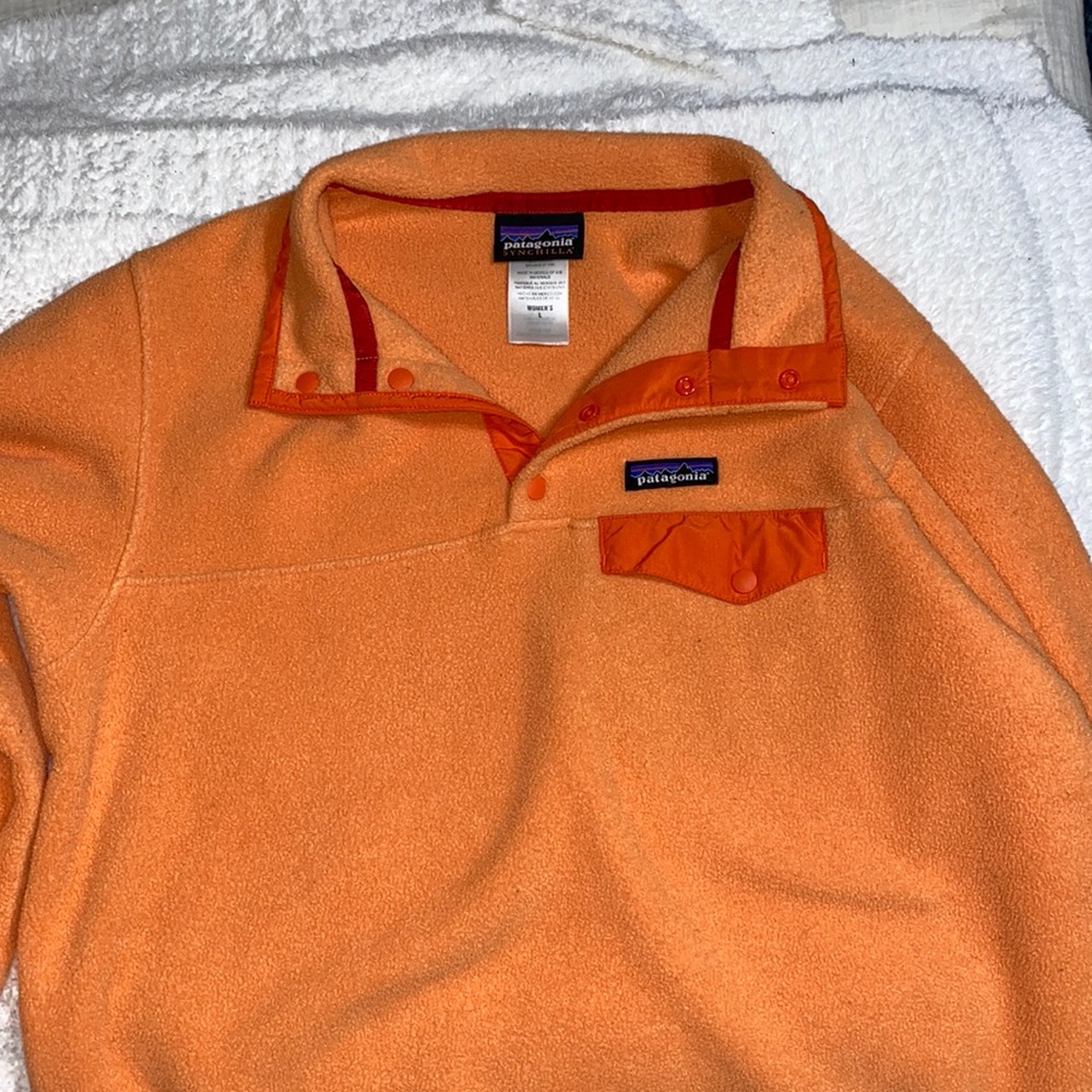 Patagonia synchilla